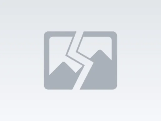 증거 기반 소싱이 중국 내 덱스트린 및 MCC 거래 방식을 바꾸고 있습니다